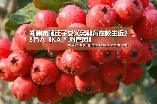 郑州市随迁子女义务教育在校生近28万人【KAIYUN官网】(图1) 开云赛事