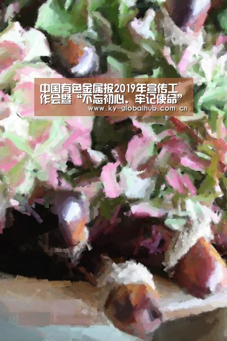 中国有色金属报2019年宣传工作会暨“不忘初心、牢记使命”主题教育研讨会通知-KAIYUN官网(图1) KAIYUN官网