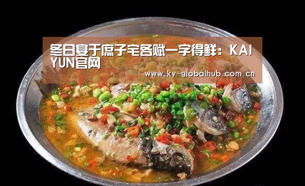 开云体育直播