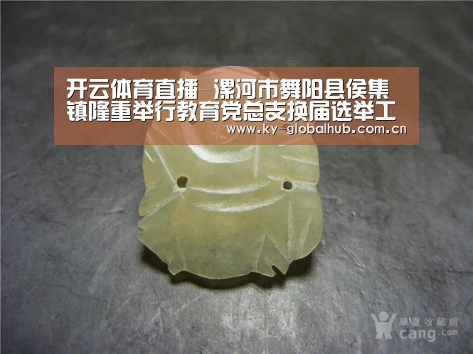 开云体育直播-漯河市舞阳县侯集镇隆重举行教育党总支换届选举工作会议(图3) 开云赛事直播