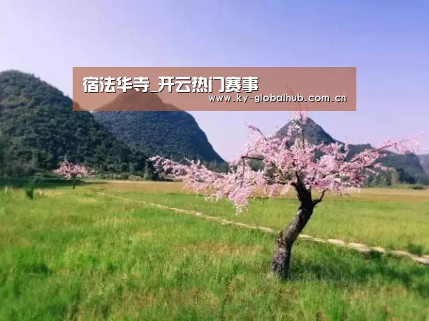 开云体育直播