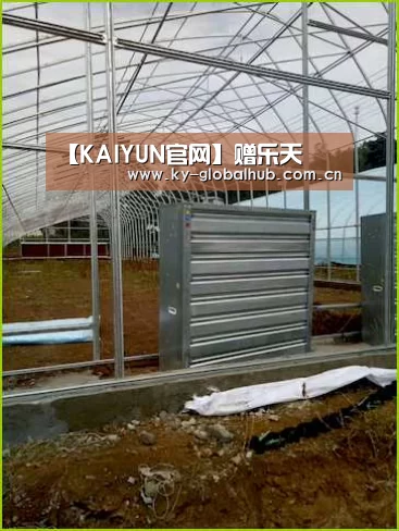 【KAIYUN官网】赠乐天(图3) 开云体育直播