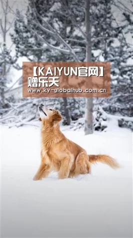 【KAIYUN官网】赠乐天(图4) 开云热门赛事