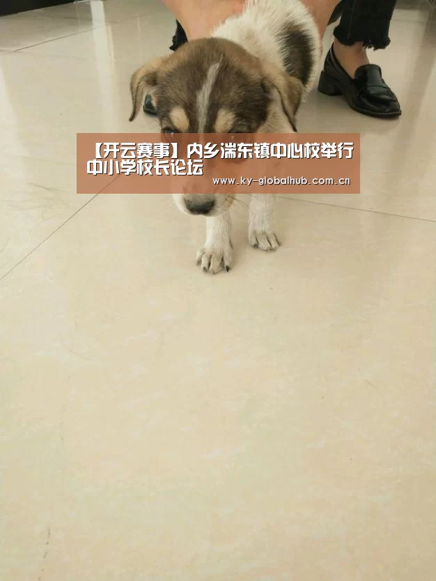 【开云赛事】内乡湍东镇中心校举行中小学校长论坛(图1) 开云热门赛事